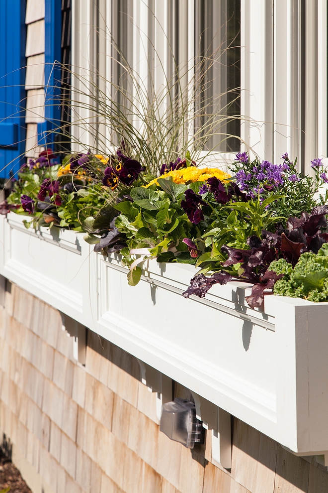 Shingle Cottage Design